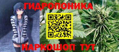 шишки Кинель