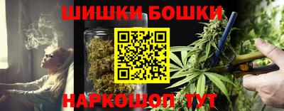 шишки Кинель