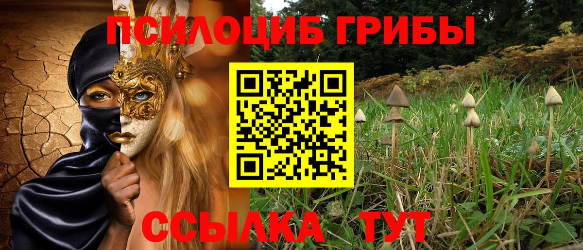 Псилоцибиновые грибы GOLDEN TEACHER  Псилоцибиновые грибы Magic Shrooms  Коркино  Вход с VPN 